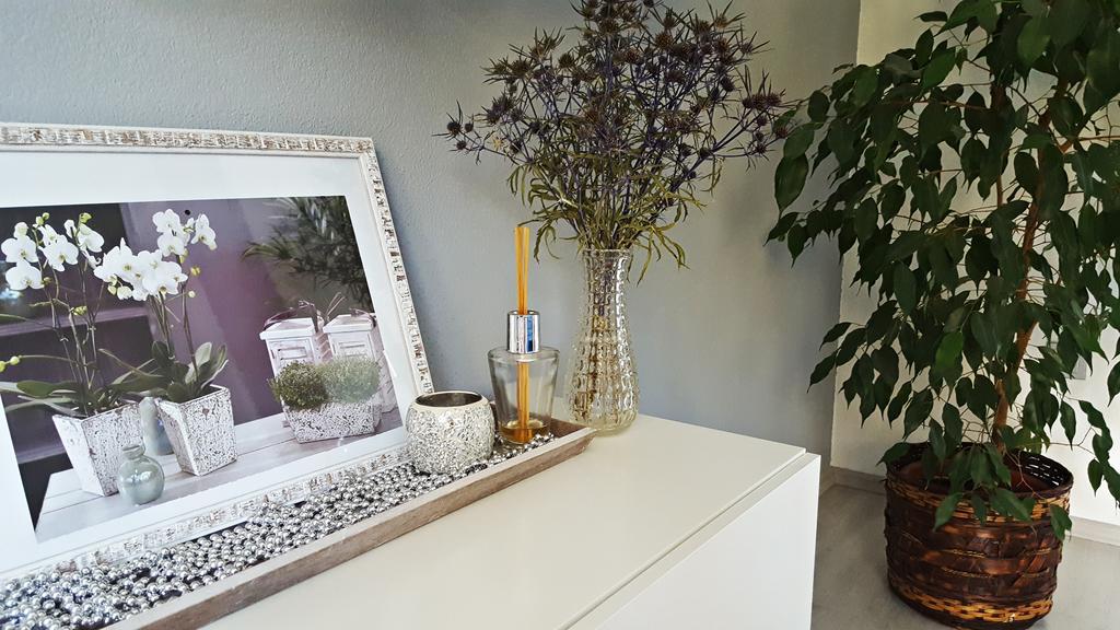 Apartment Lipa Irinovac ภายนอก รูปภาพ